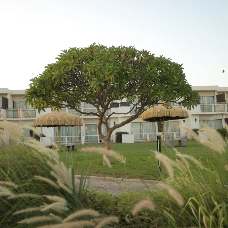 5e8ec715c122714494fdc19718eac1c23d16341d