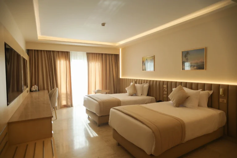 super deluxe twin (2)